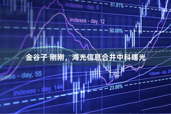 金谷子 刚刚，海光信息合并中科曙光