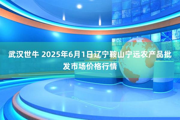 武汉世牛 2025年6月1日辽宁鞍山宁远农产品批发市场价格行情