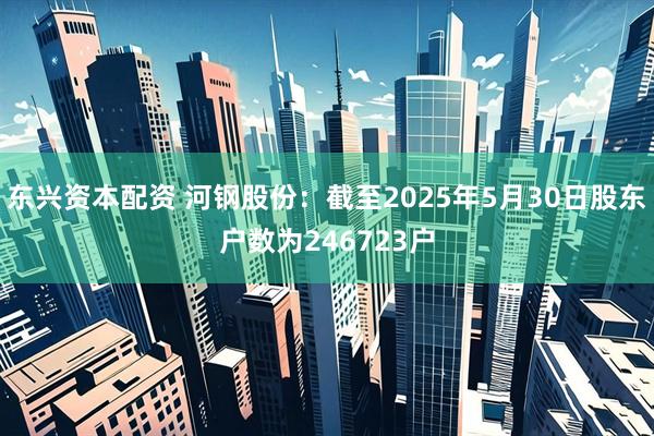 东兴资本配资 河钢股份：截至2025年5月30日股东户数为246723户