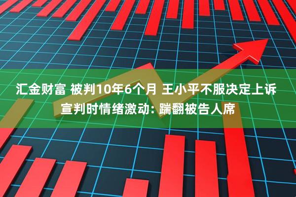 汇金财富 被判10年6个月 王小平不服决定上诉 宣判时情绪激动: 踹翻被告人席