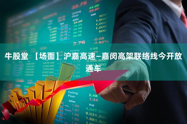 牛股堂 【场面】沪嘉高速—嘉闵高架联络线今开放通车