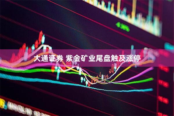 大通证券 紫金矿业尾盘触及涨停