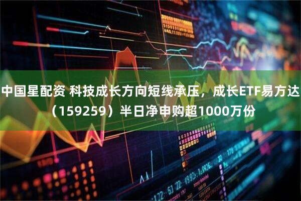 中国星配资 科技成长方向短线承压，成长ETF易方达（159259）半日净申购超1000万份